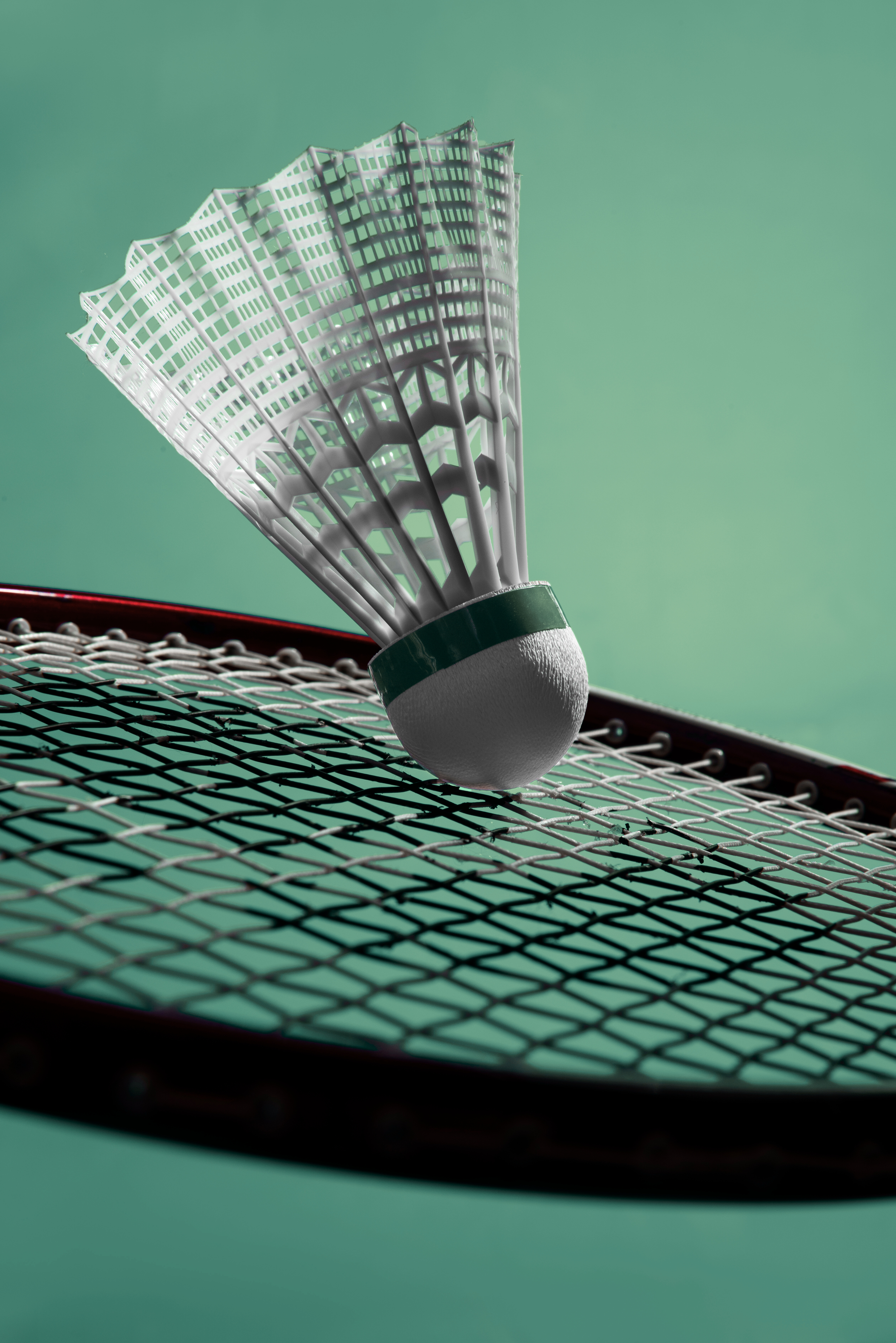Badminton shuttlecock on racket